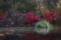 First Sun Rays on Red Bridge Pond