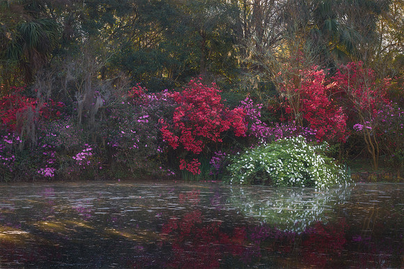 First Sun Rays on Red Bridge Pond