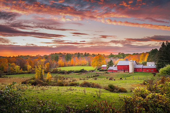 Kenniston Farmstead