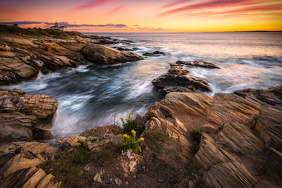 Beavertail Light Streaks