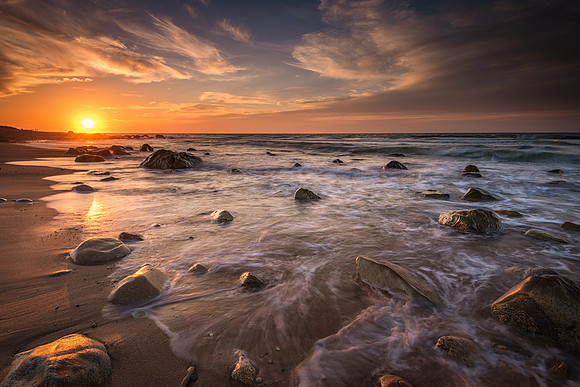 Veiled In Golden Light