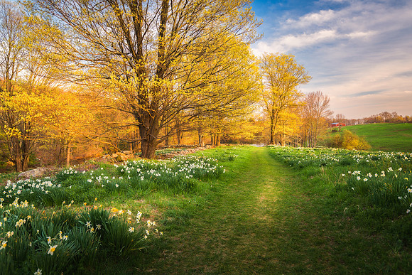 Old Farm Trail