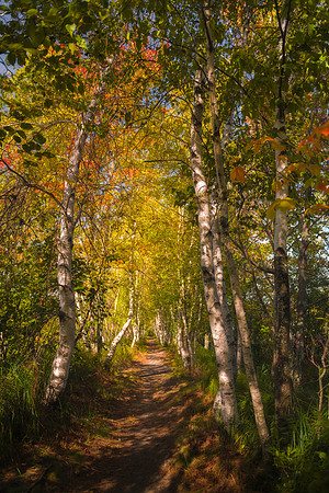 DSC_6690-Edit