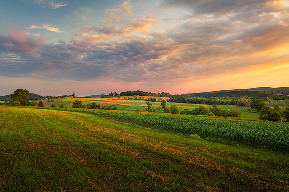 Last Light on Golden Hill