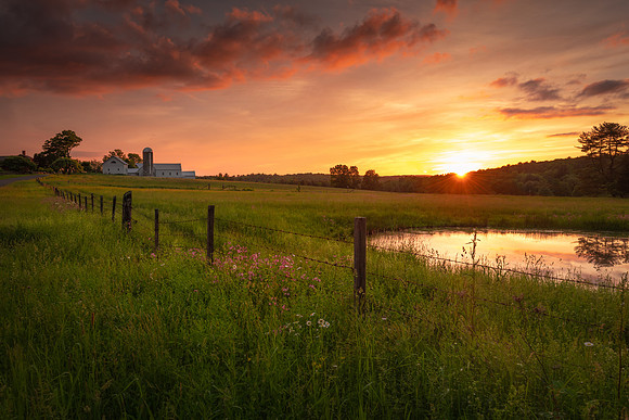 Bucolic