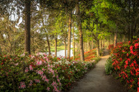 Scene from the Hill of Flowers