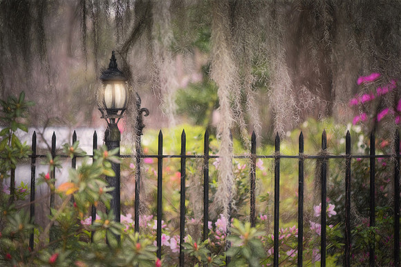 French Iron, Spanish Moss, Southern Charm