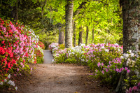 A Worthy Path for a Friend