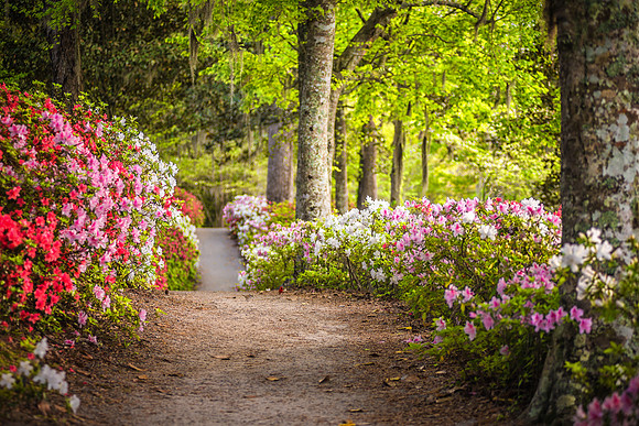 A Worthy Path for a Friend