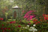 Star Chamber Garden