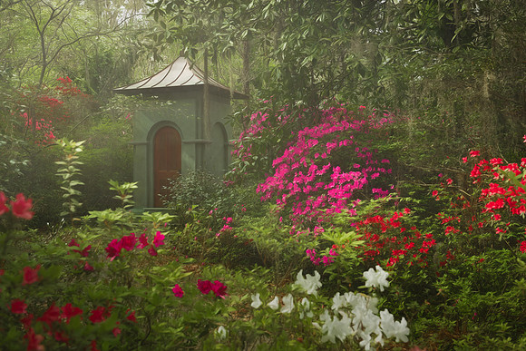 Star Chamber Garden