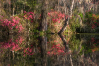 Renewal, Reflected