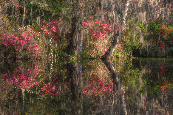 Renewal, Reflected