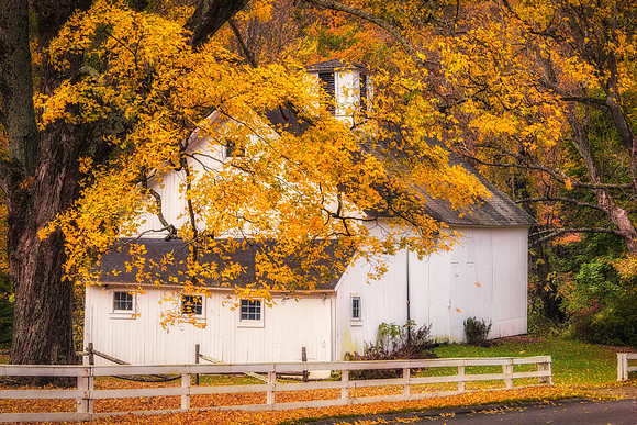 Rustic Gem