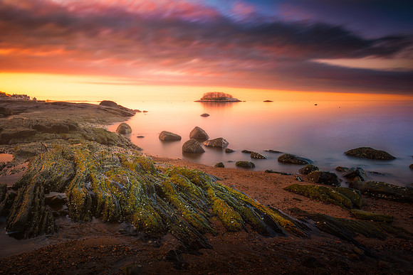 Sidelight on Tuxis Island